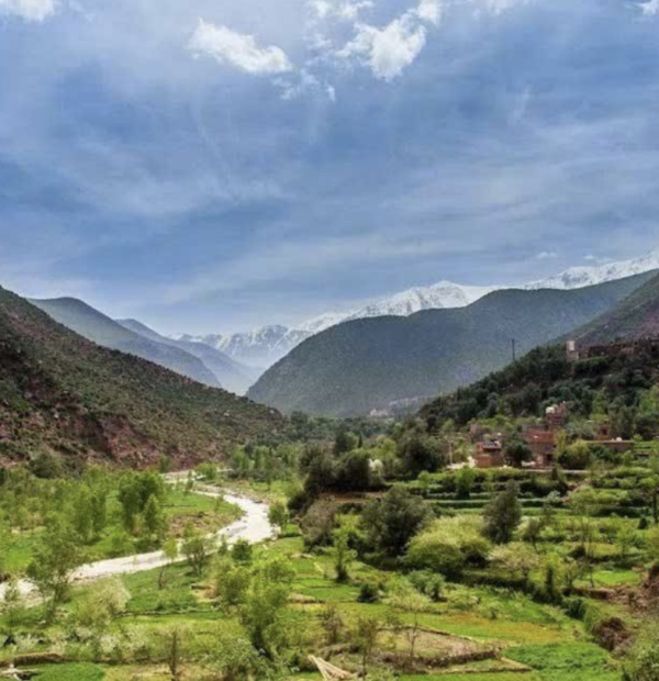 Ourika Valley - 1 day