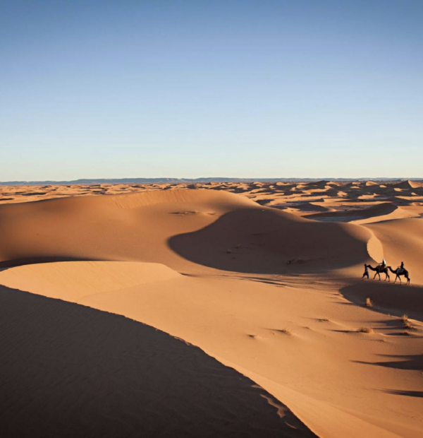 Zagora Desert - 2 days 1 night